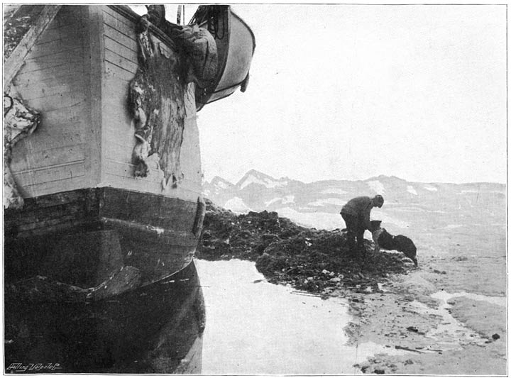 The stern of the “Fram.” Johansen and “Sultan.” June 16, 1894