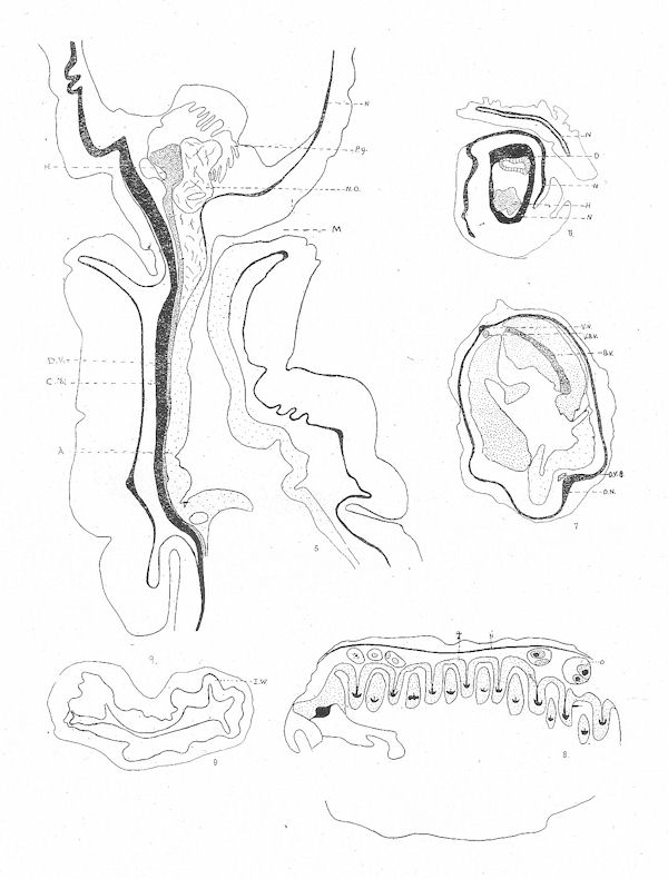 Set of various figures