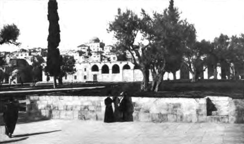 JERUSALEM—ITS BUBBLE-ROOFED HOUSES AND DOMES, ITS
CYPRESS AND OLIVE TREES