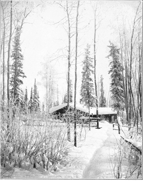 Photo by J. Doody, Dawson

A Home in the Yukon