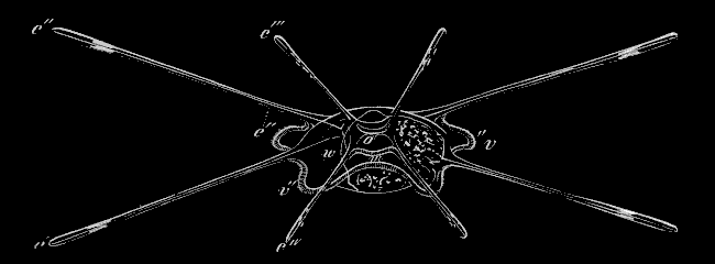 Fig. 177. Fig. 176 seen endways.