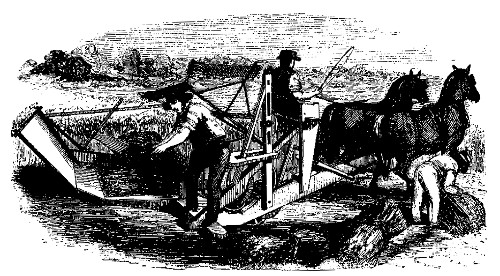 THE VIRGINIA REAPER.

Exhibited at the Crystal Palace, and the New-York State Agricultural Fair,
by Cyrus H. McCormick.