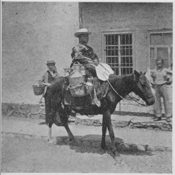 MILK-WOMAN OF LIMA ON HORSEBACK.