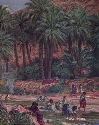 Illustration: Among all trees, one is blessed like the Mussulman,
 'tis the palm, said the Prophet.