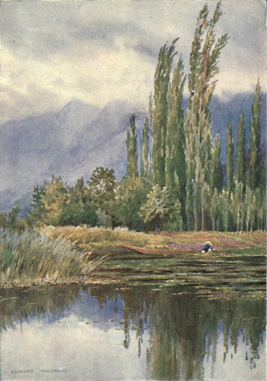 THE LULL BEFORE THE STORM, DAL LAKE