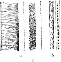 Fig. 2A