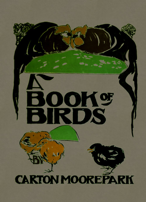 A Book of Birds