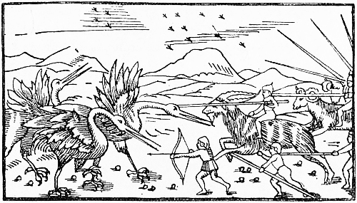 battle between pygmies and cranes