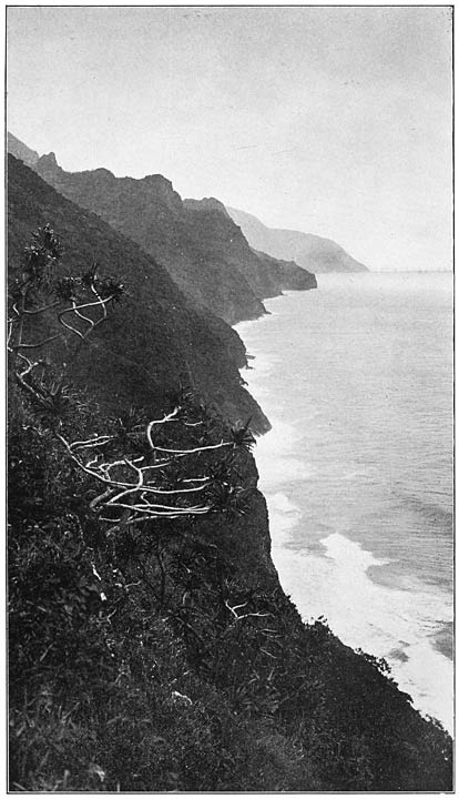 THE CLIFFS OF KALALAU