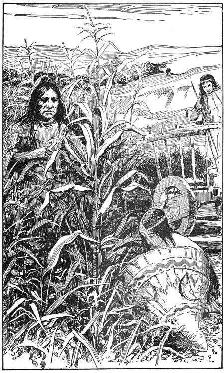 Massea gathering corn