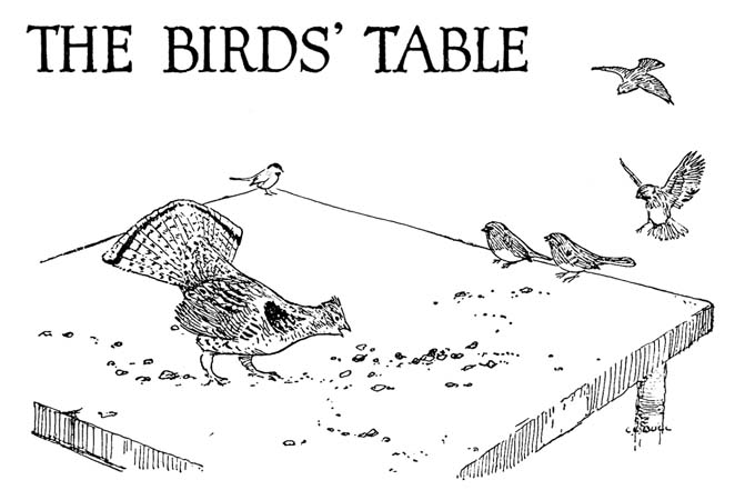 THE BIRDS’ TABLE