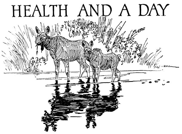 HEALTH AND A DAY