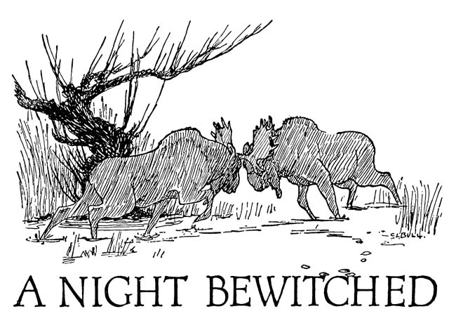 A NIGHT BEWITCHED