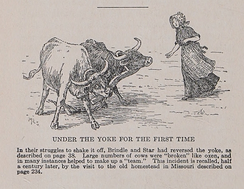 UNDER THE YOKE FOR THE FIRST TIME