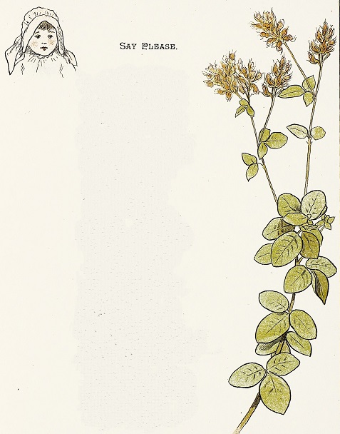 Headshot of little girl on left; flowers on right