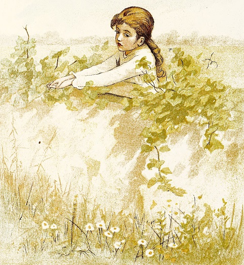 Girl among blooms covering the garden wall
