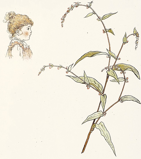 Girl looking at plant