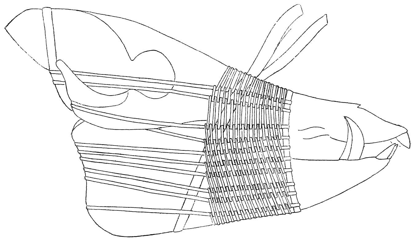Fig. 36. Pig’s skull with basket-work, Jarawa