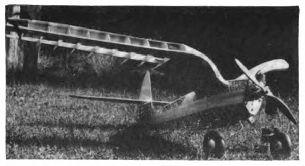 A model airplane with arching wings on the lawn