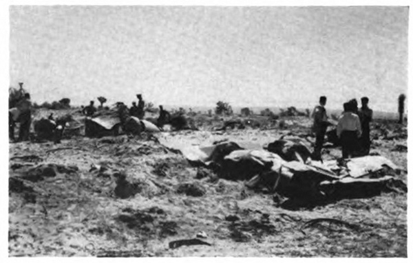An airplane wreck with men standing nearby